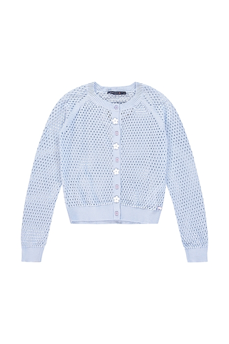 BASIC ROUND NECK CARD LS BLUE 1