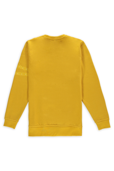 PACT CREWNECK 2.0 BUMBLEBEE 2