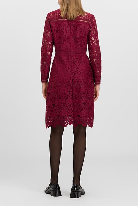MONA MINI LENGTH LACE DRESS BERRY RED 2