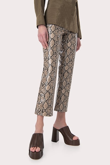 BRAD BEAR NAPPA LEATHER BEAR 2