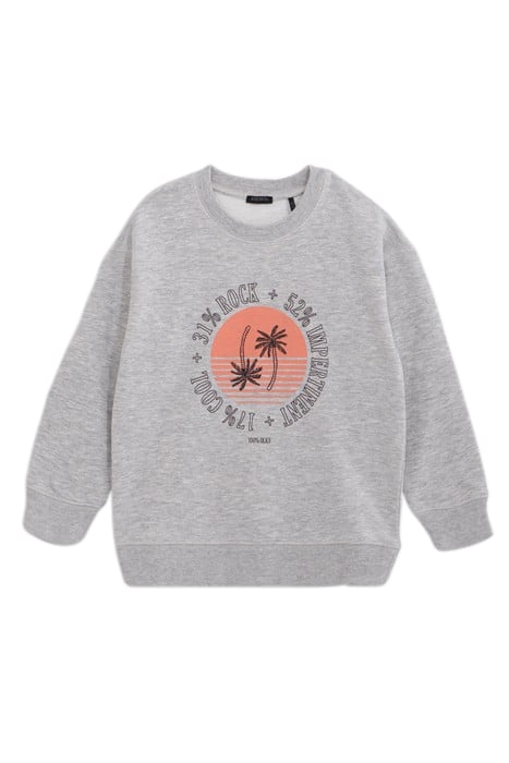 BOYS' GREY ORGANIC COTTON SWEATSHIRT, PALM TREE GRAPHIC 1