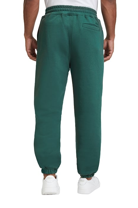 BAYDON SWEAT PANTS FOREST BIOME 2