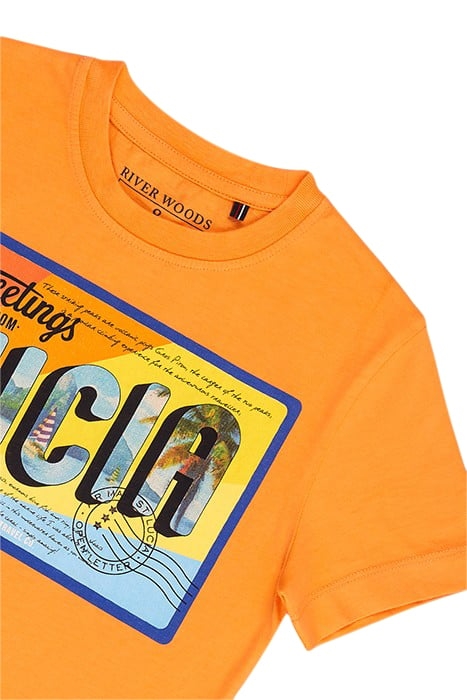 NORMAL FIT T-SHIRT IN SUNRISE ORANGE 3