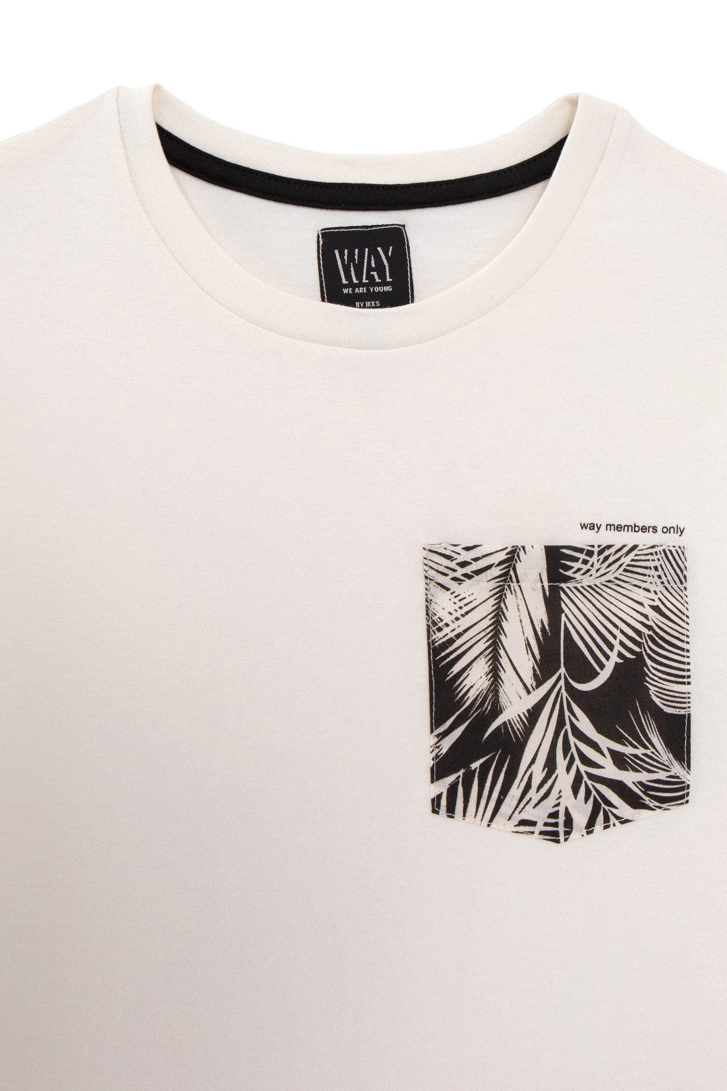 BOYS’ ECRU ORGANIC COTTON T-SHIRT, PALM TREE PRINT POCKET 3