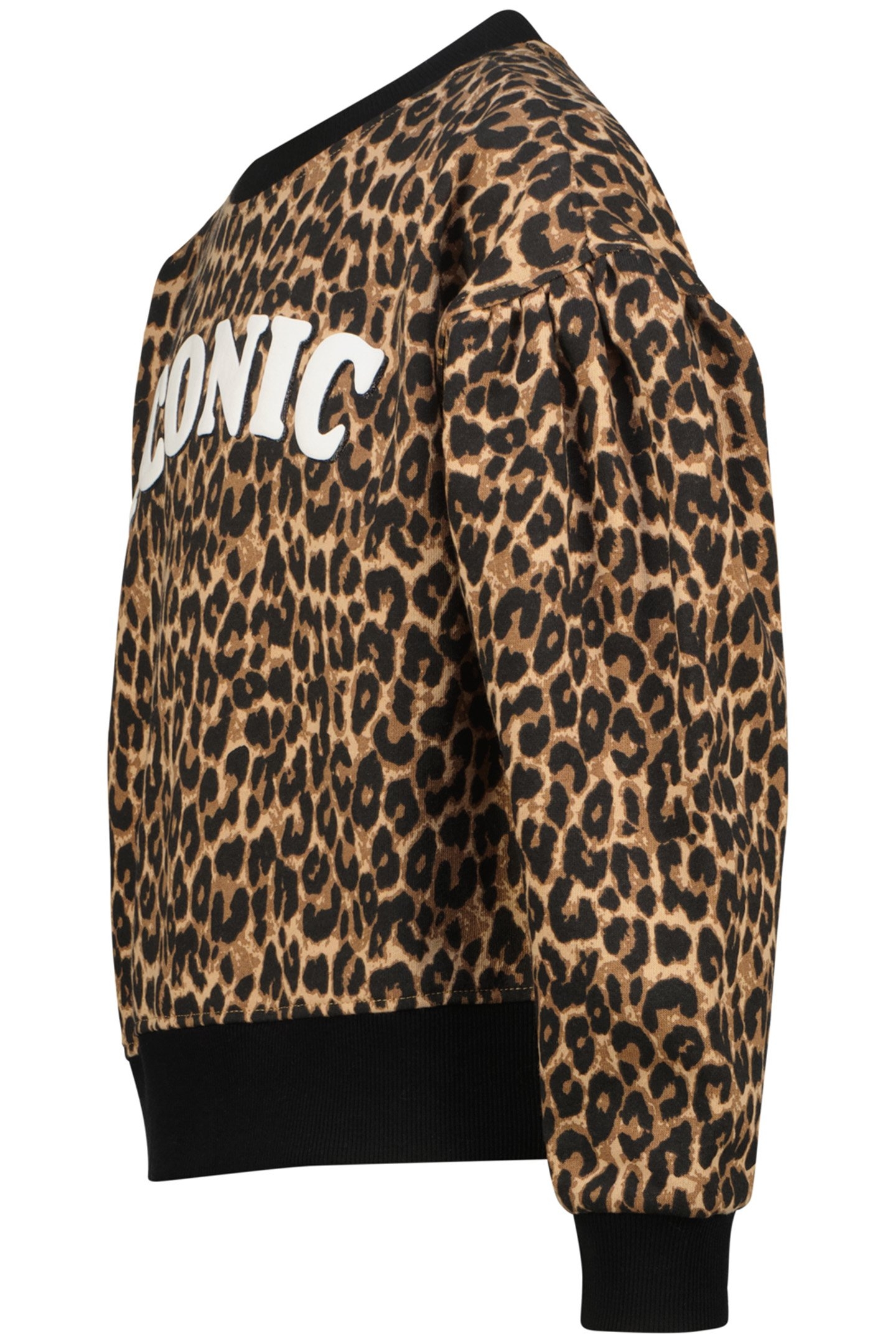 NORIEN MULTICOLOR BROWN 3