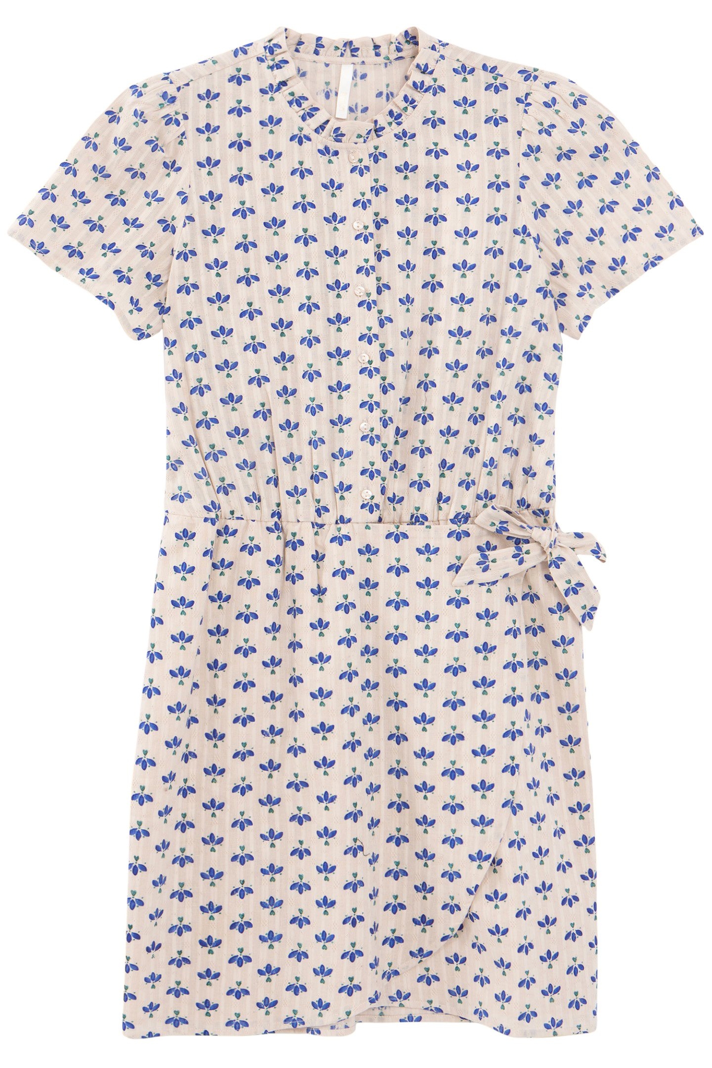 OFF-WHITE DRESS WITH BLUE PETAL PRINT 4