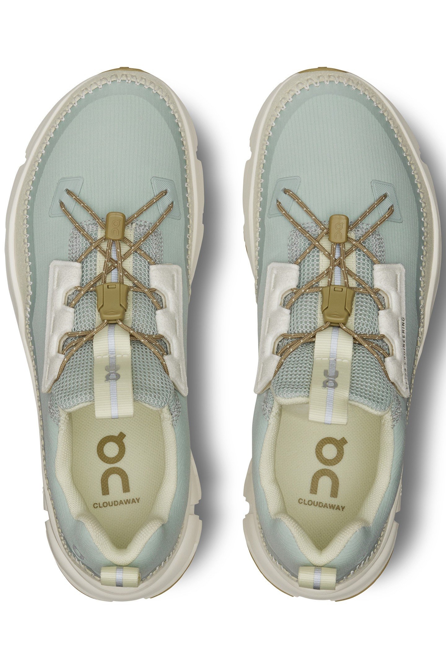 CLOUDAWAY 1 GLACIER SEEDLING 3