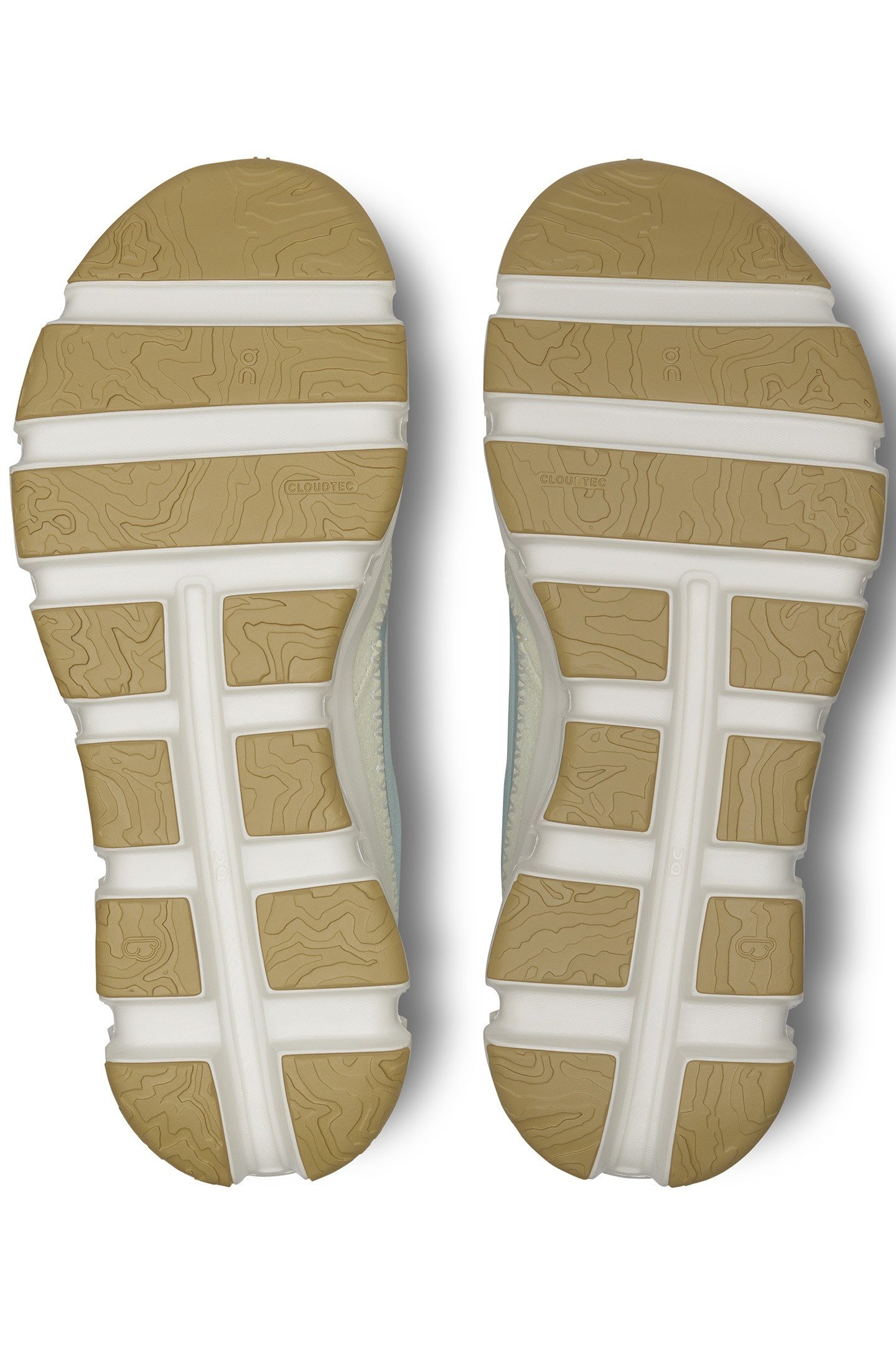 CLOUDAWAY 1 GLACIER SEEDLING 5