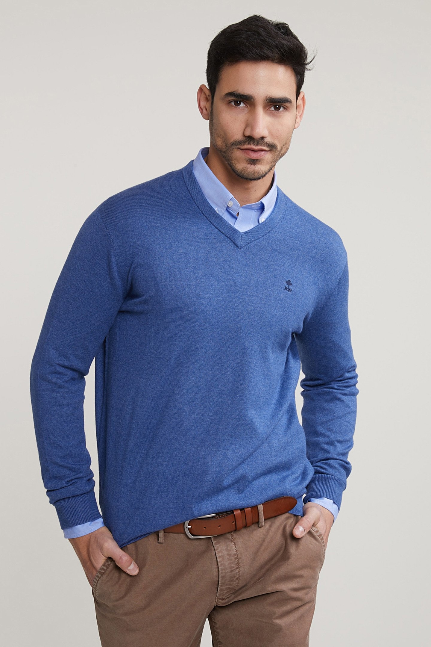 NORMAL FIT BASIC COTTON V-NECK SWEATER WAGON BLUE MIX 1