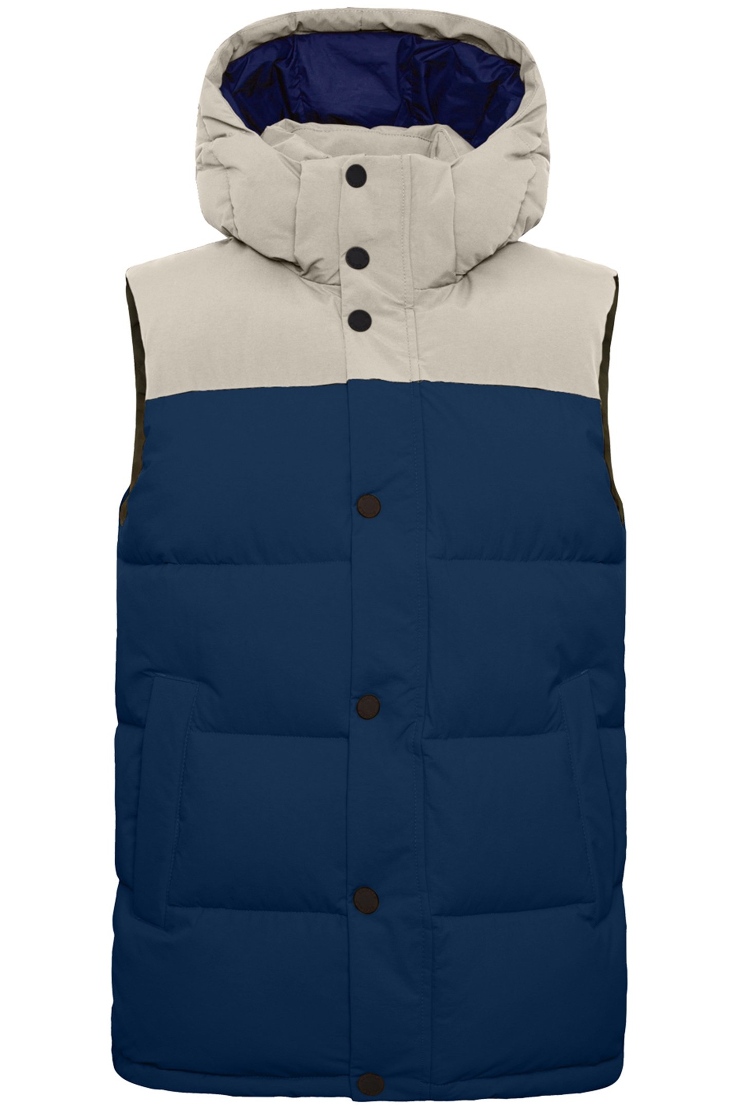 JANNU VEST BLUE PRINT 1