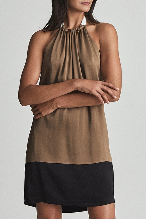 PASCAL TORTOISE SHELL 1