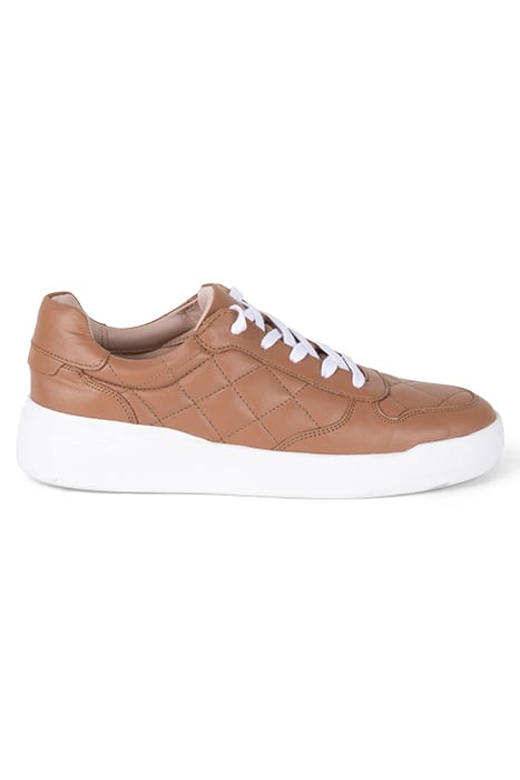 CAMBELL SNEAKERS CAMEL 1