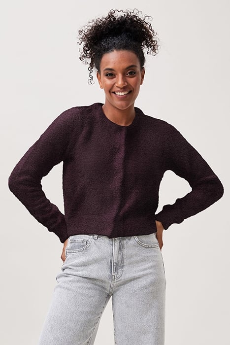 CG MAYA PLUM PERFECT 1