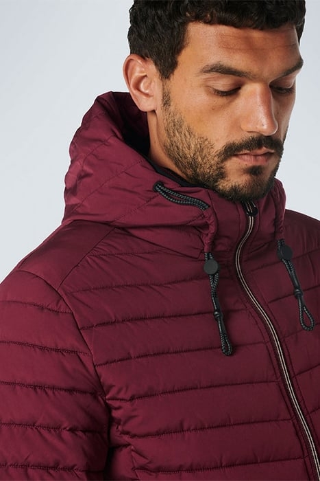 JACKET HOODED SHORT FIT PADDED DARK RED 6