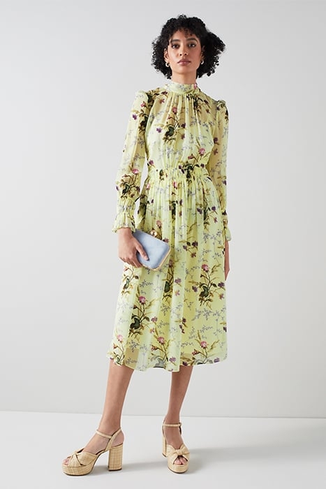 DR ELOISE - MEADOW SCENE MULTI 5