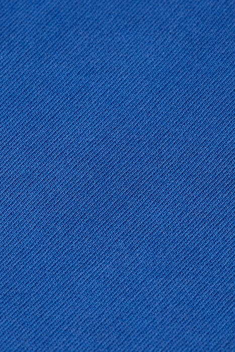 GARMENT-DYED LOGO HOODIE BOAT BLUE 3