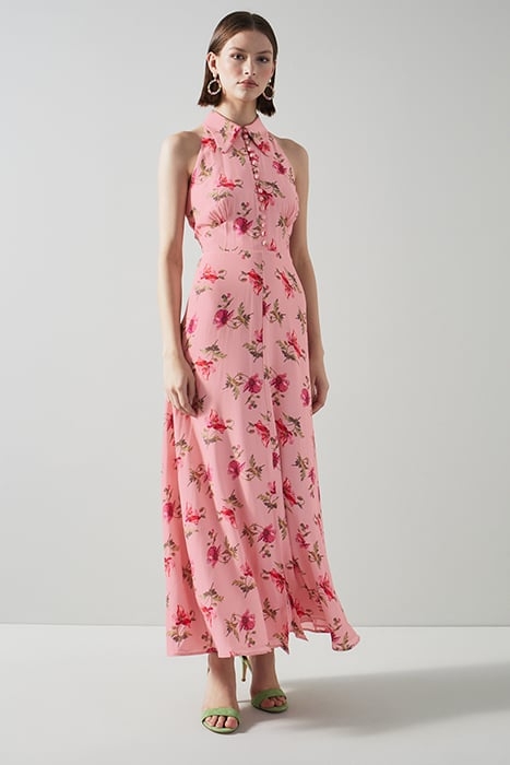 DR FLORI - GIANT POPPY PR MULTI 1