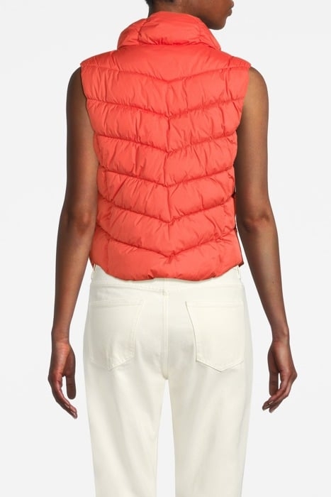 COMMA JACKETS OUTDOOR ORANGE 2