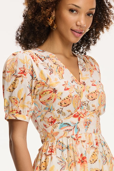 LADIES JAEL DRESS FRUITY BLUES ORANGE FRUITY BLUES 8