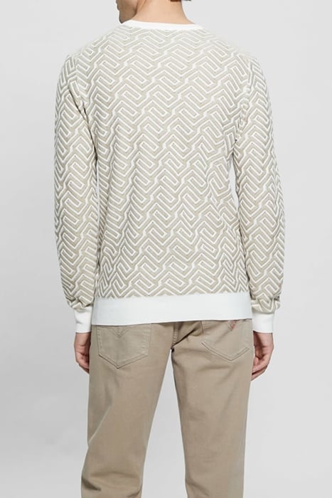 CARL LS CN GEOMETRIC SALT AND KHAKI STORM 2