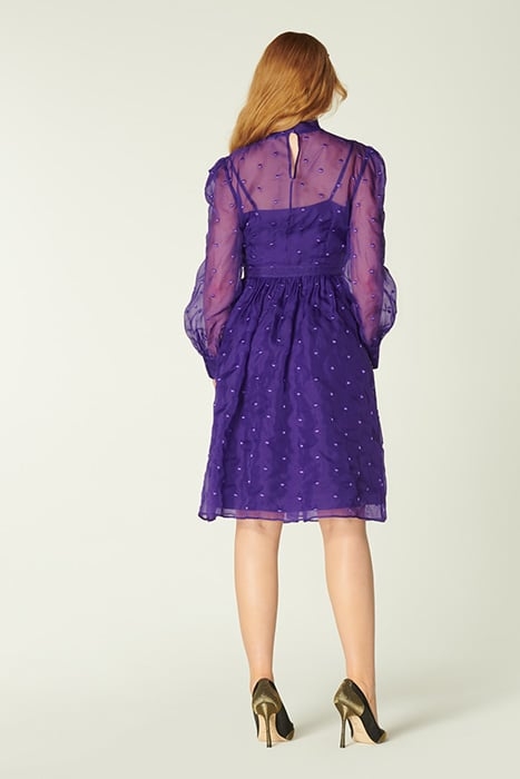 DR DEPP SPOT SILVER 2