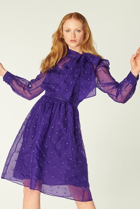 DR DEPP SPOT SILVER 1