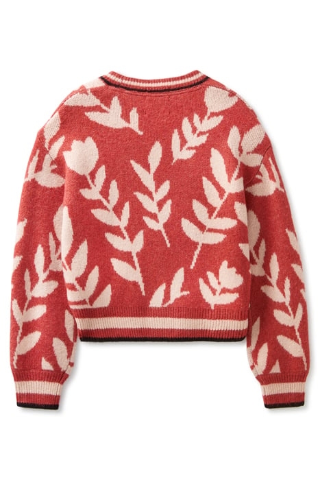 SWEATER CARDIGAN TULIP 4