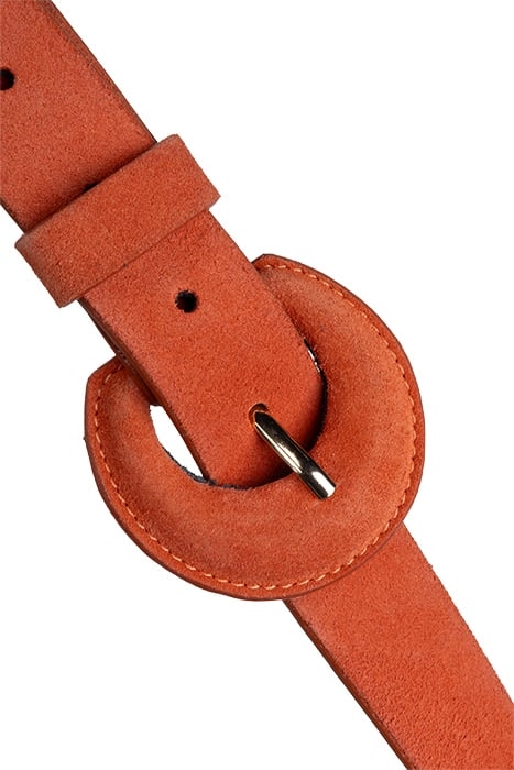 ANDREW - NASTURTIUM BELT IN CERTIFIED SUEDE LEATHER 3
