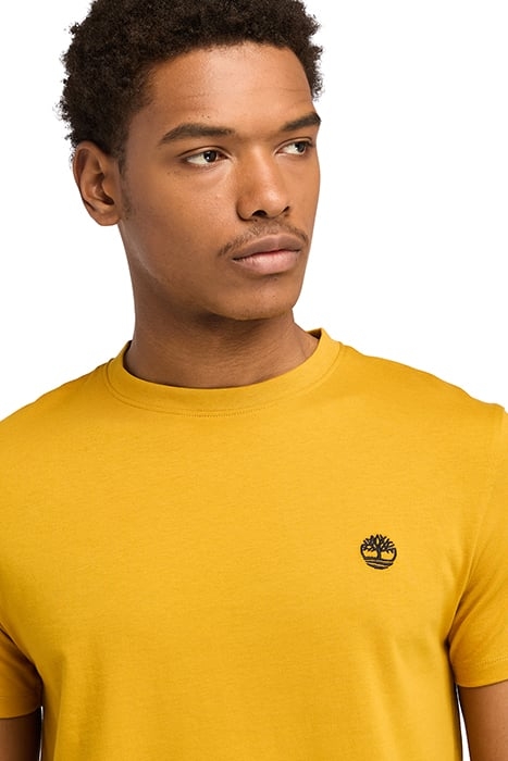 DUNSTAN RIVER SHORT SLEEVE TEE CHAI TEA 5