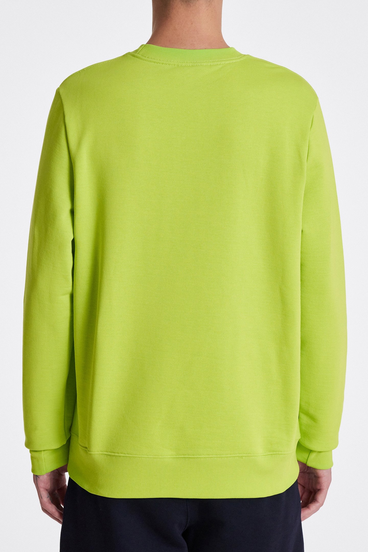 MENS REG FIT SWEATSHIRT ZEBRA GREEN 2