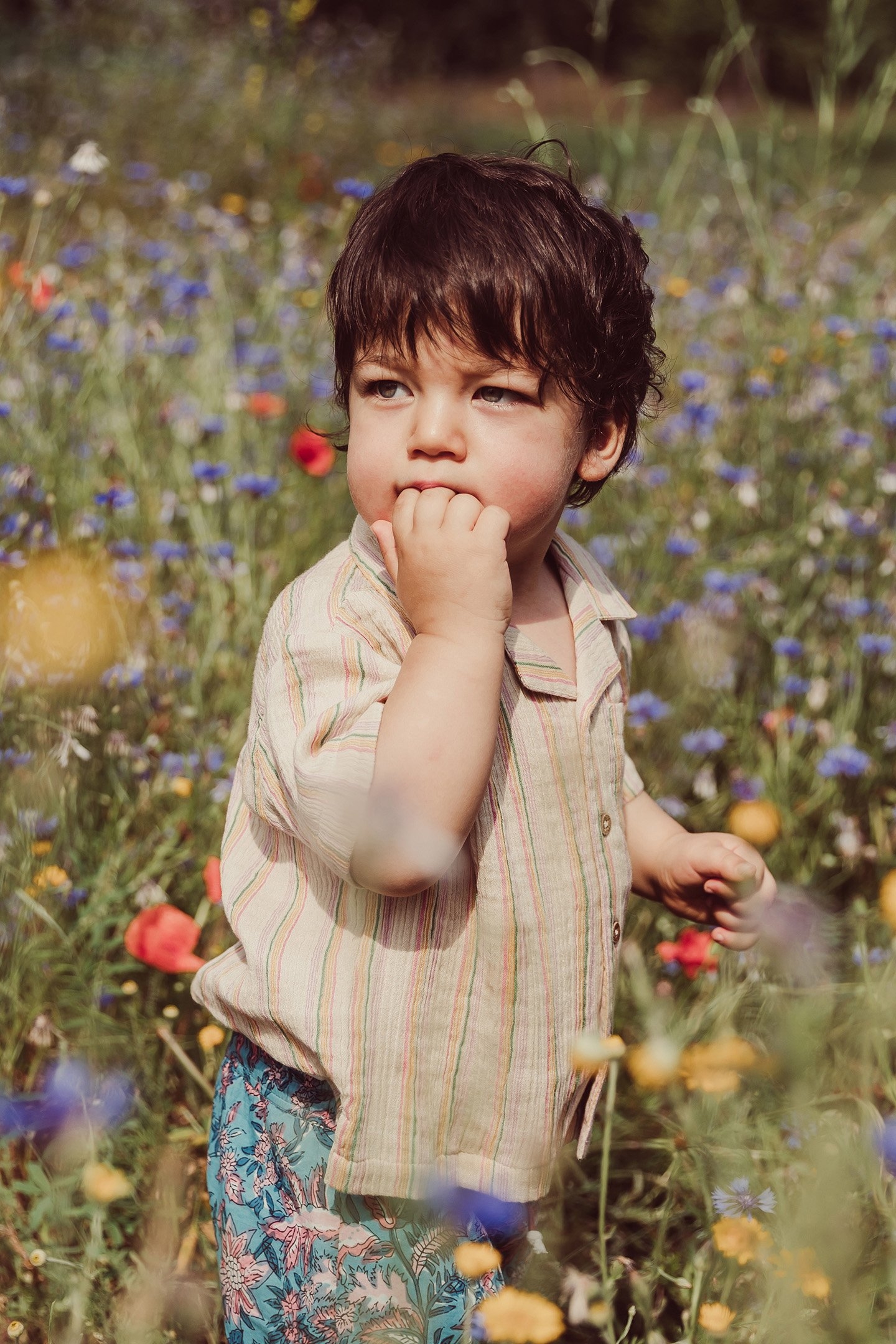 SHIRT ALOV MULTICO RAINBOW LINE 2