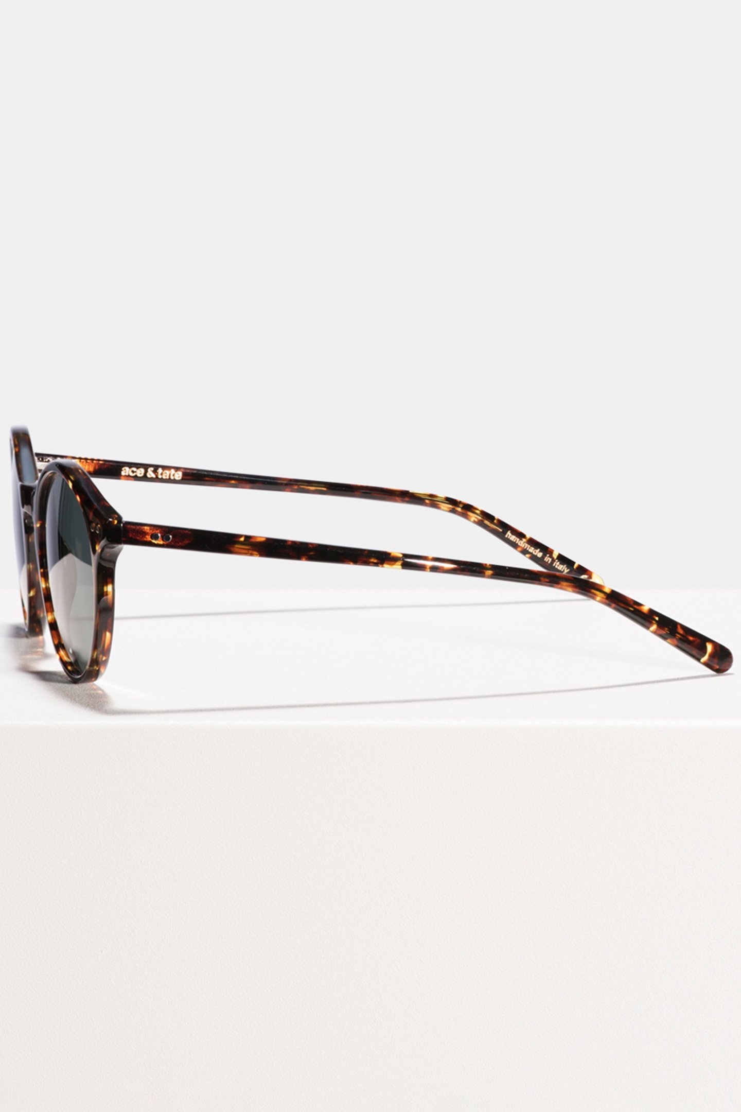 MONTY CHESTNUT TORTOISE GREEN SUN 3