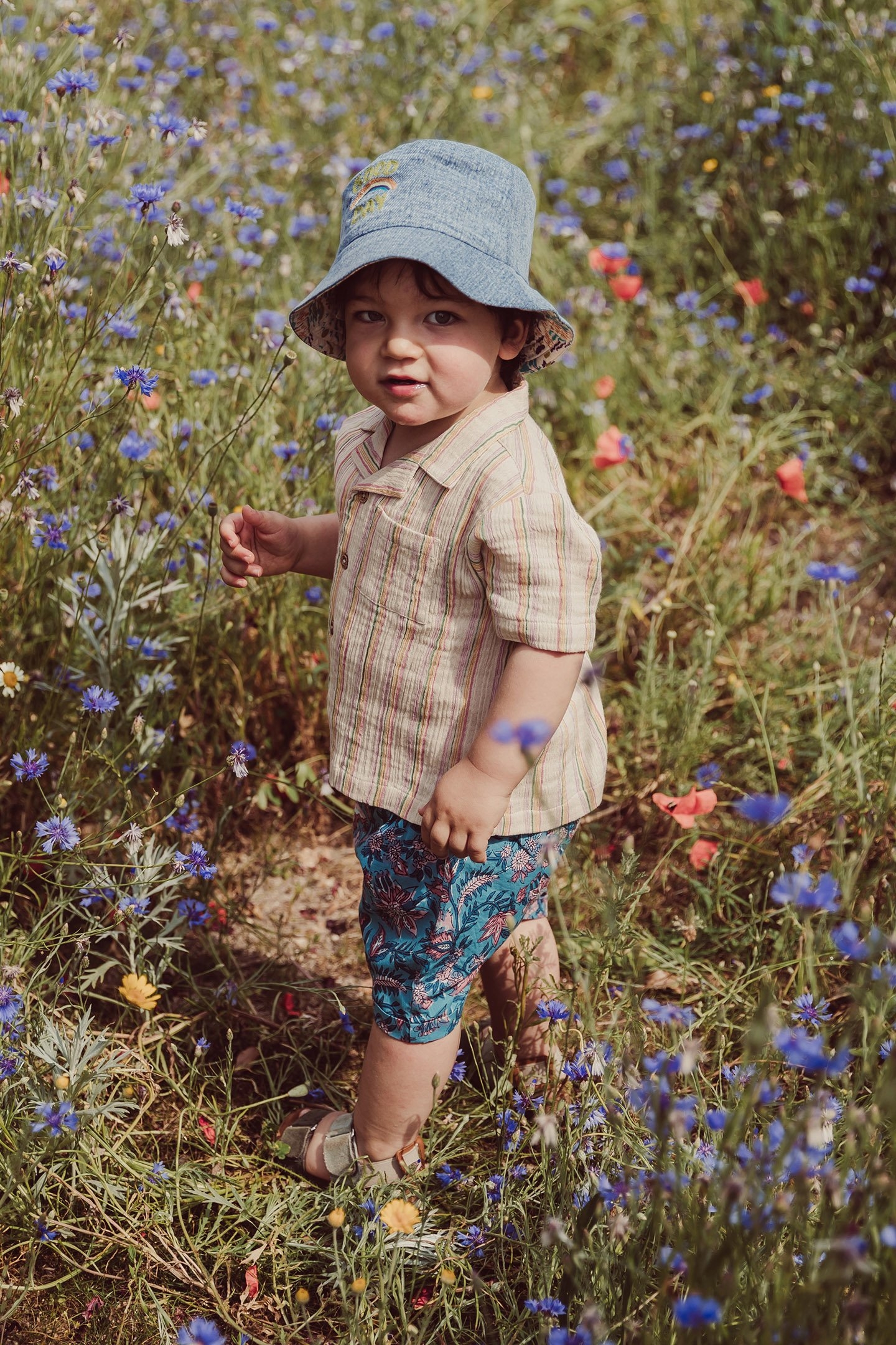 SHIRT ALOV MULTICO RAINBOW LINE 4