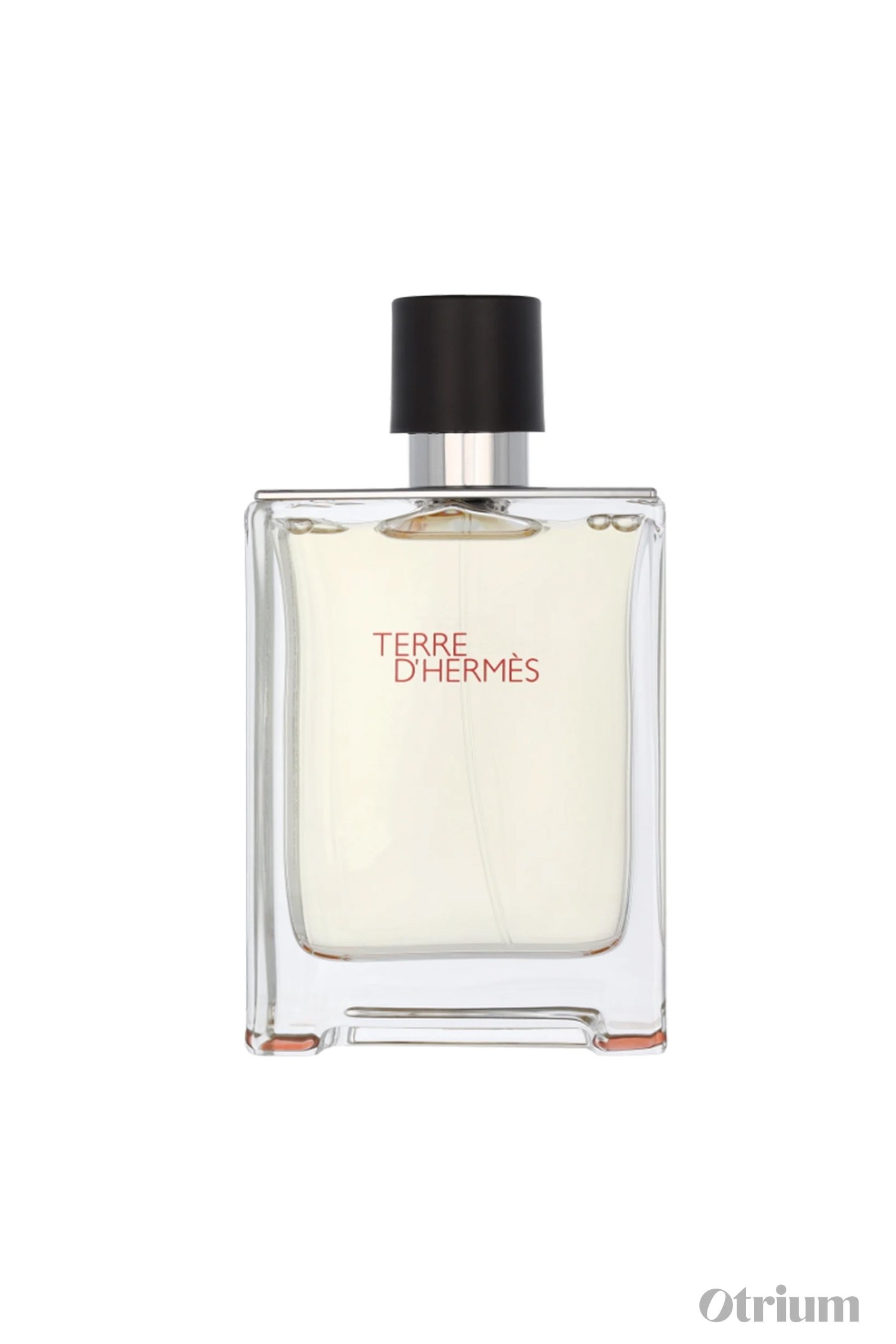 HERMÈS - TERRE D'HERMÈS - EDT (50ML) 1