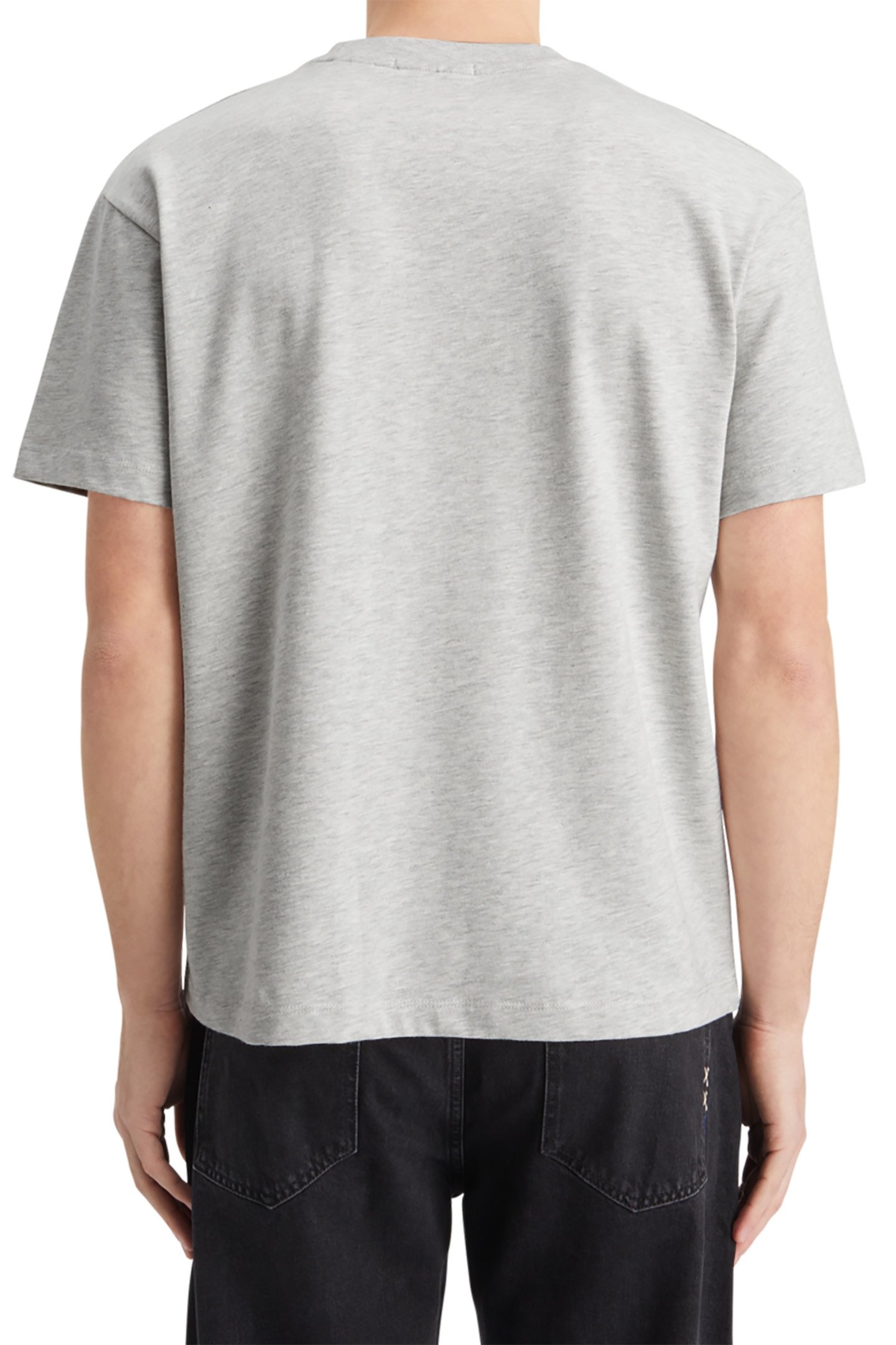 CORE - THE FREE SPIRIT PEACE BIRD T-SHIRT OATMEAL MELANGE 3