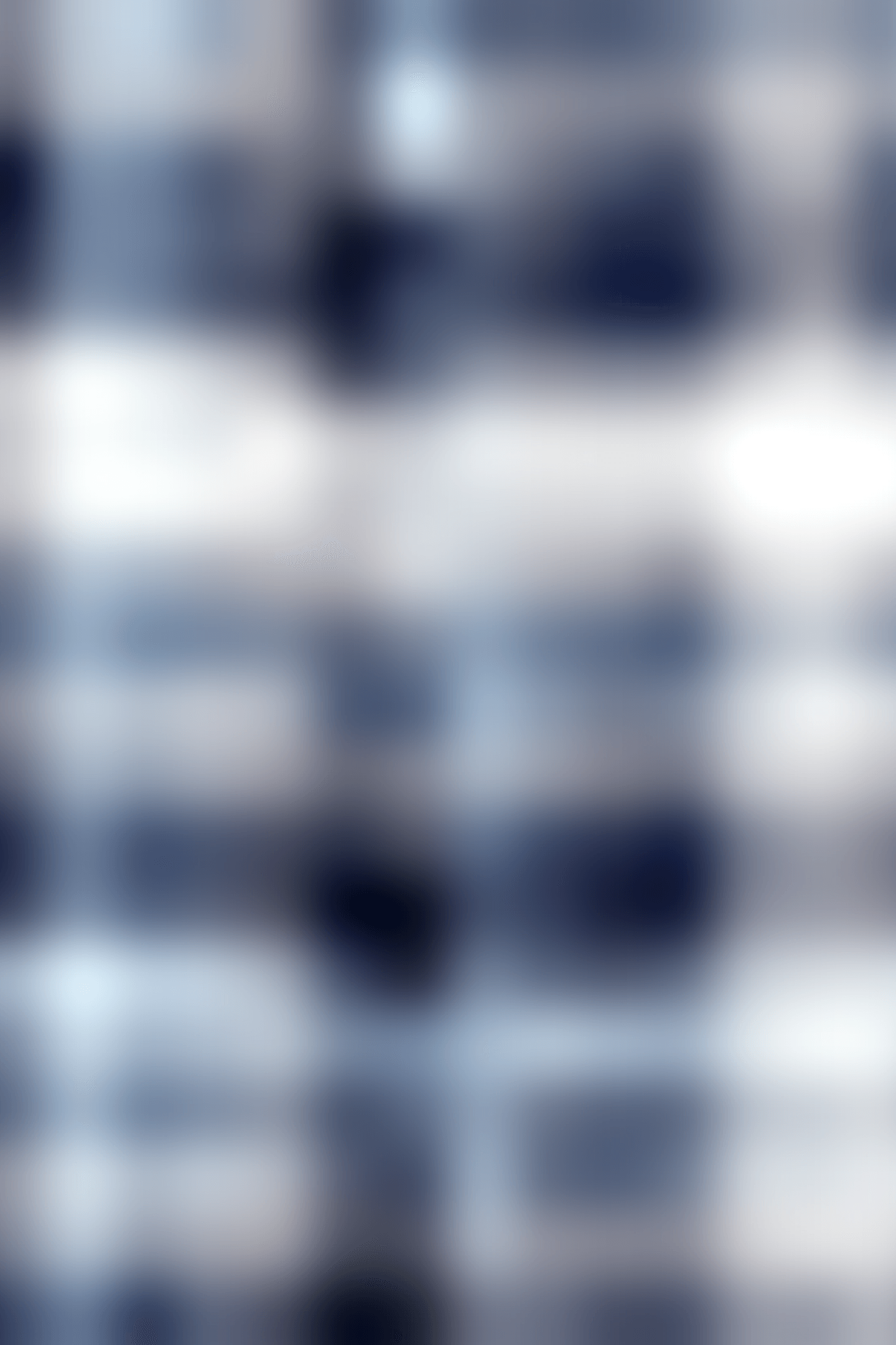 MORGAN Z BLUE/WHITE 5