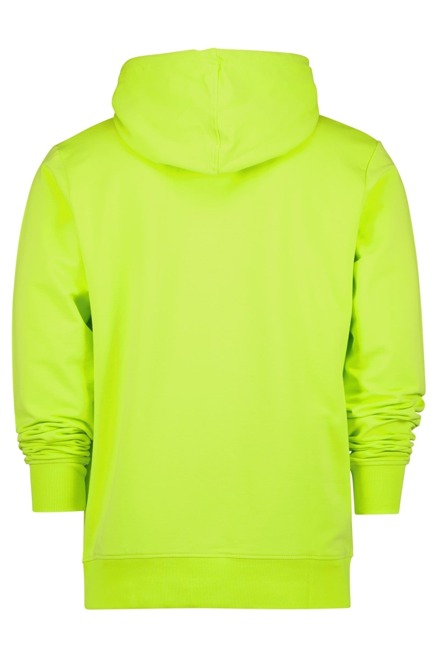 NEWTON LIZARD GREEN 5