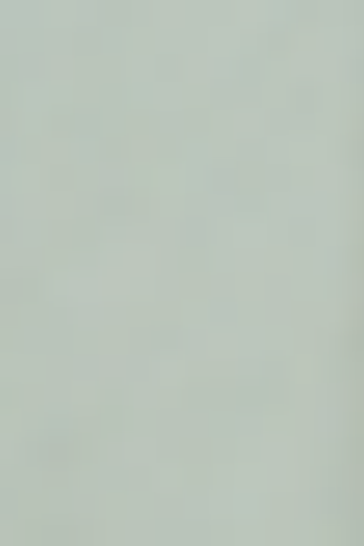 ELDEN JR SOFT GREEN 5