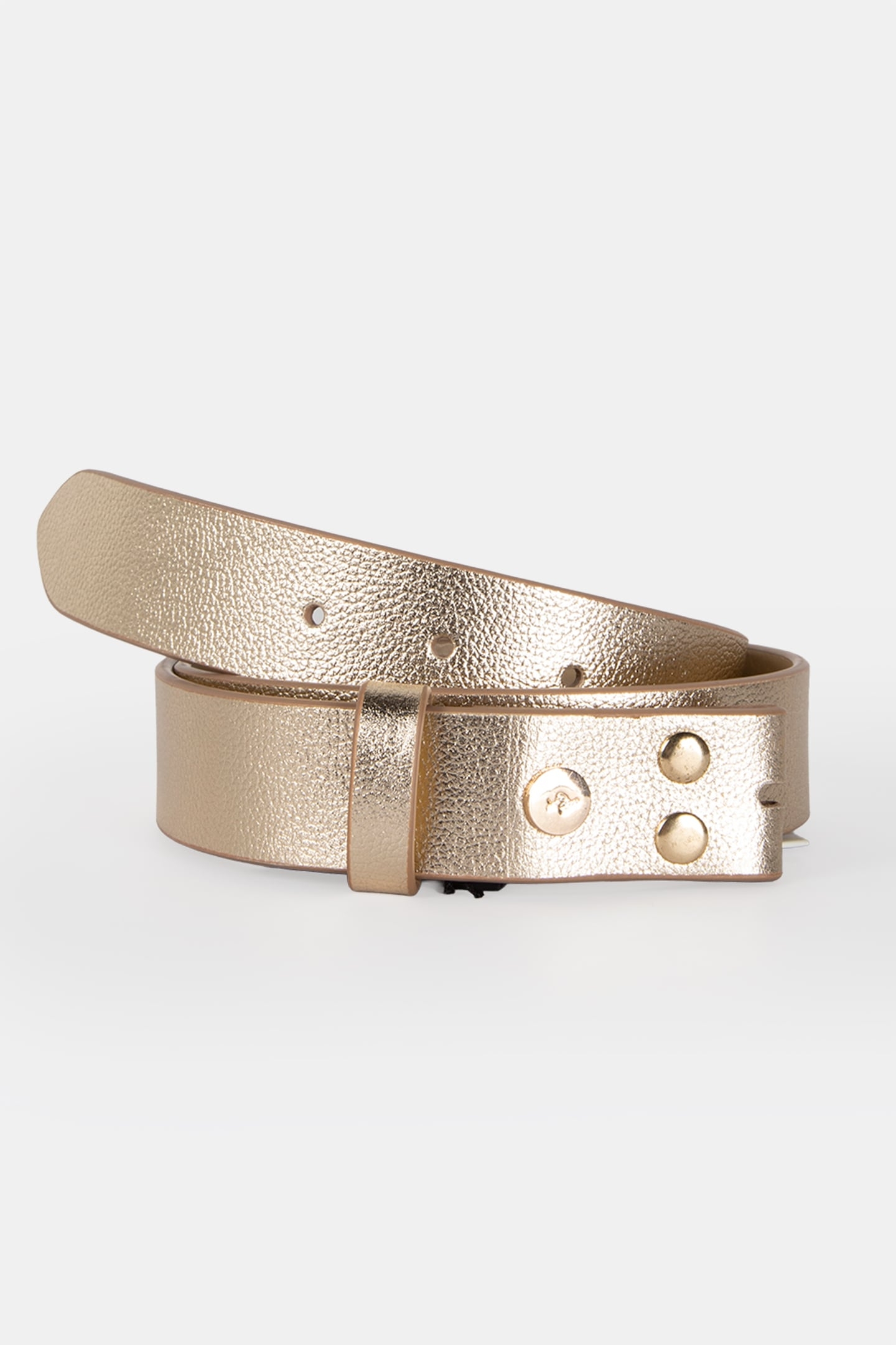AMOR - GOLD BELT BODY CERTIFIED ANIMAL EMBOSSED LEATHER 2