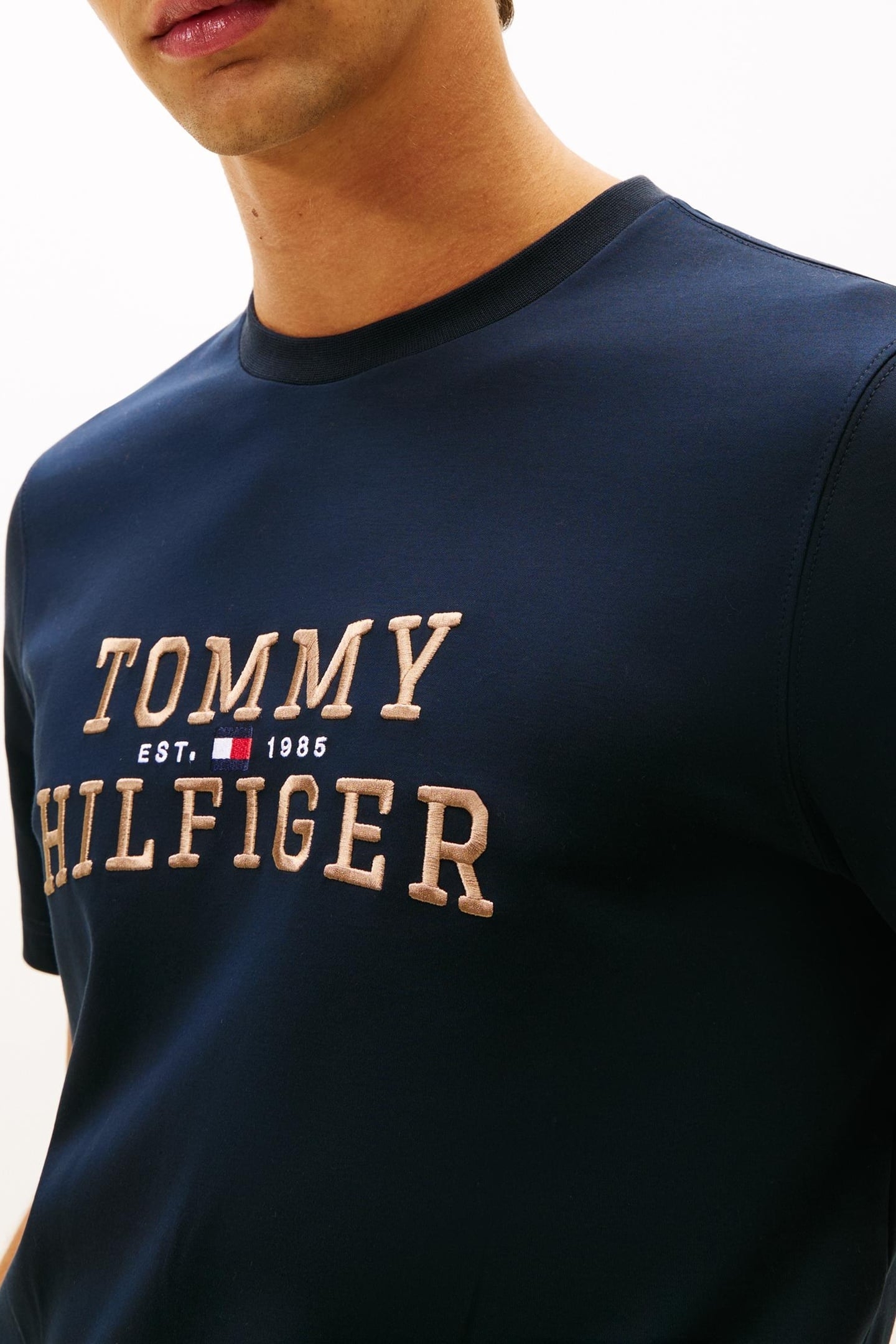 ICON INTERLOCK TEE DESERT SKY 4