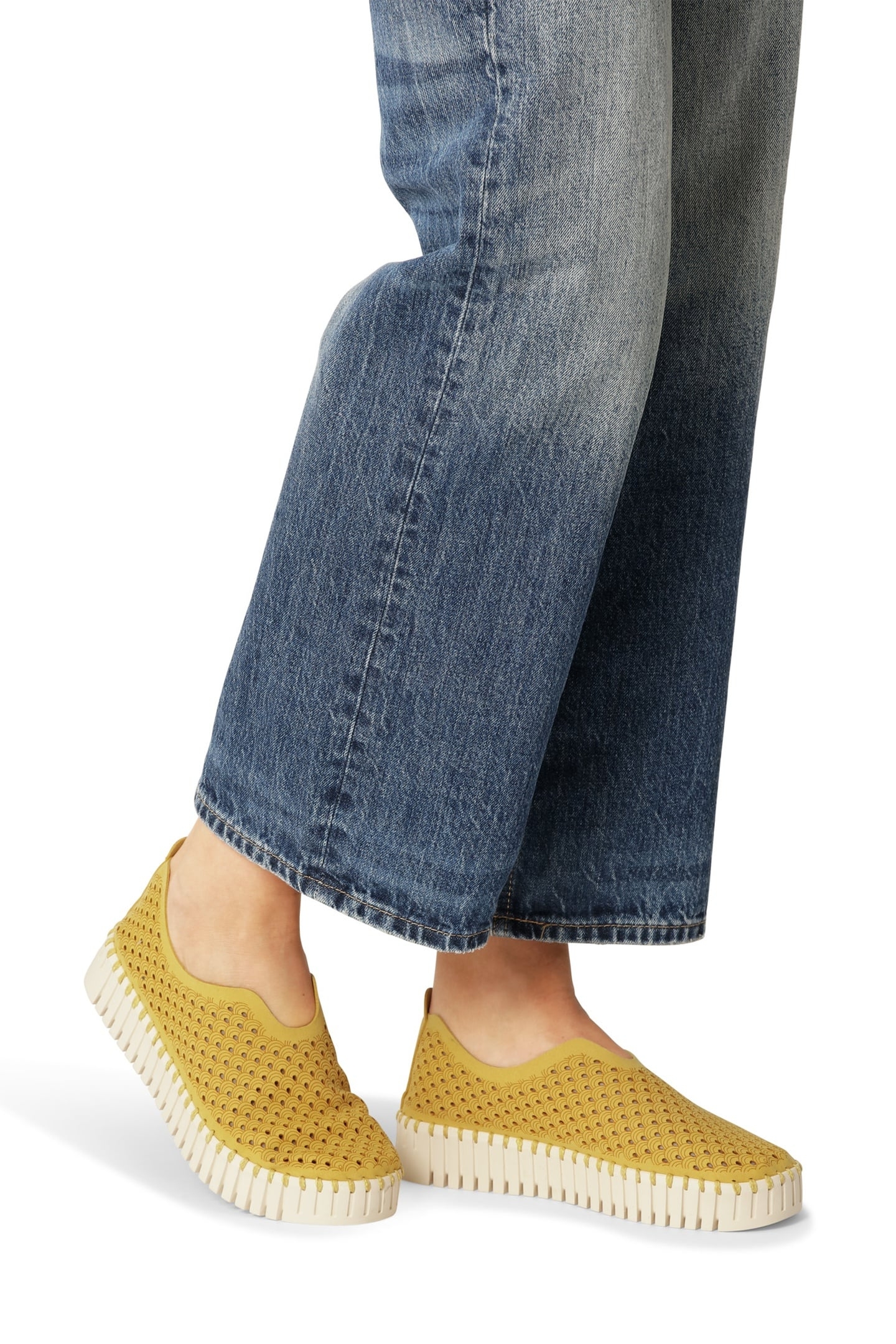 FLATS TULIP3373 GOLDEN ROD 1