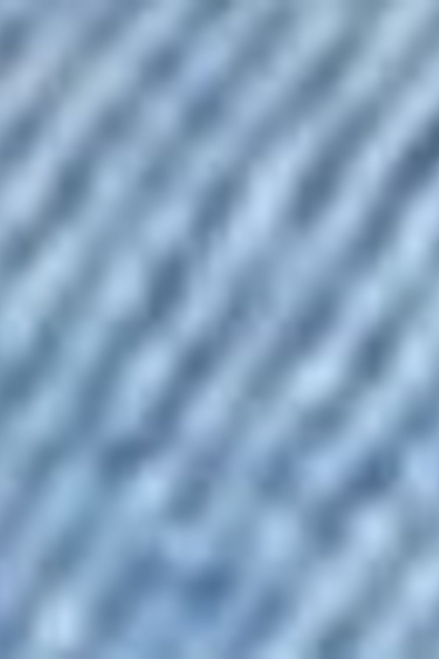 80'S MOM SHORTS BLUE 8