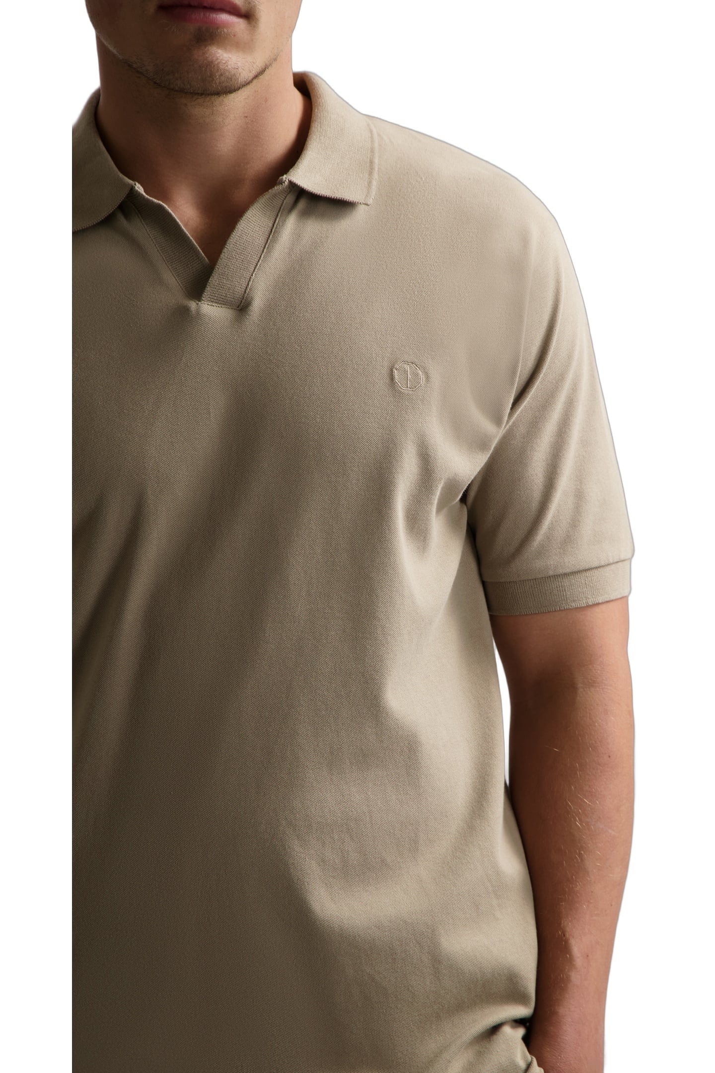 DS_BOWIE V-NECK POLO TIMBER WOLF 1