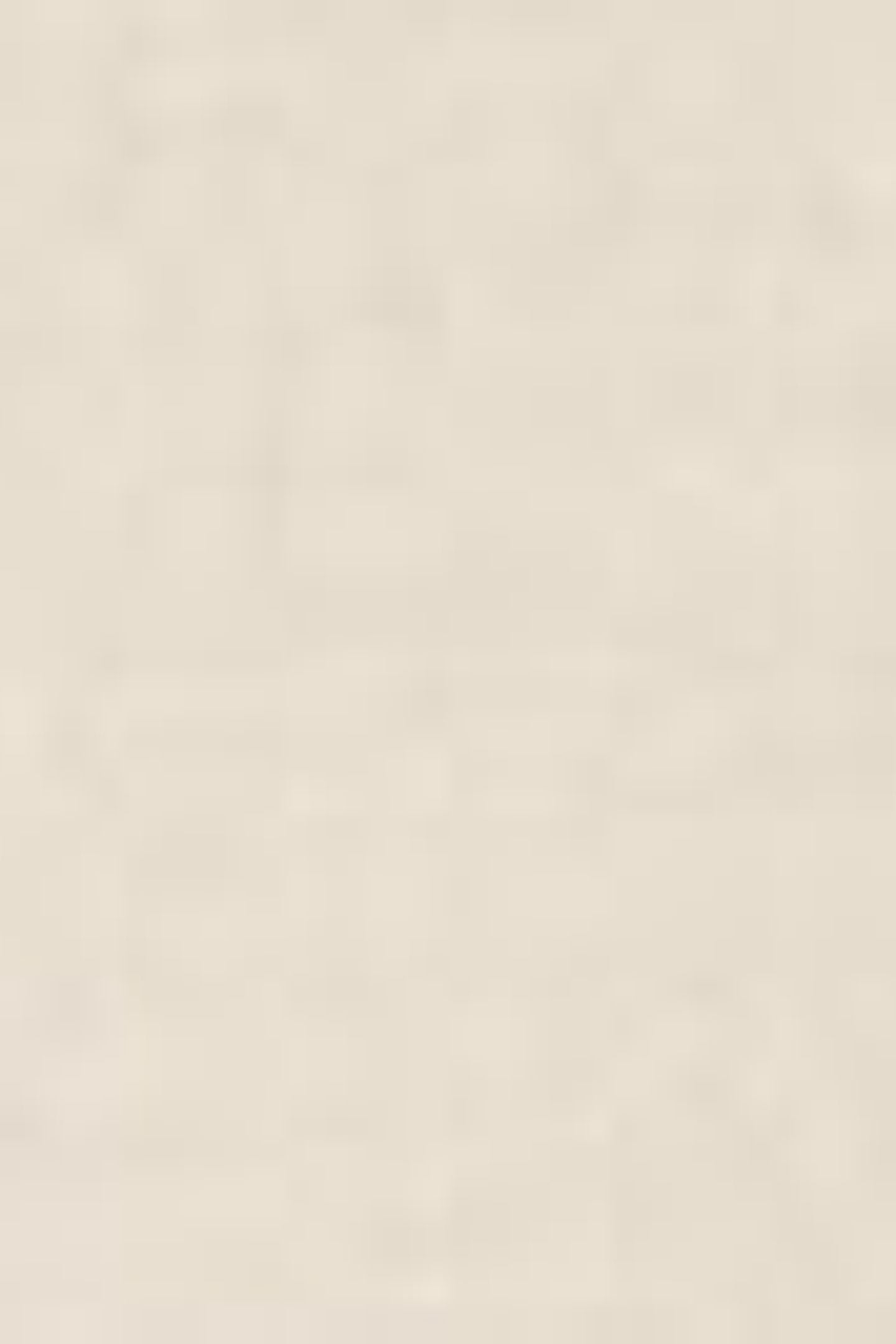 CLASSIC POCKET TEE NEUTRAL 5