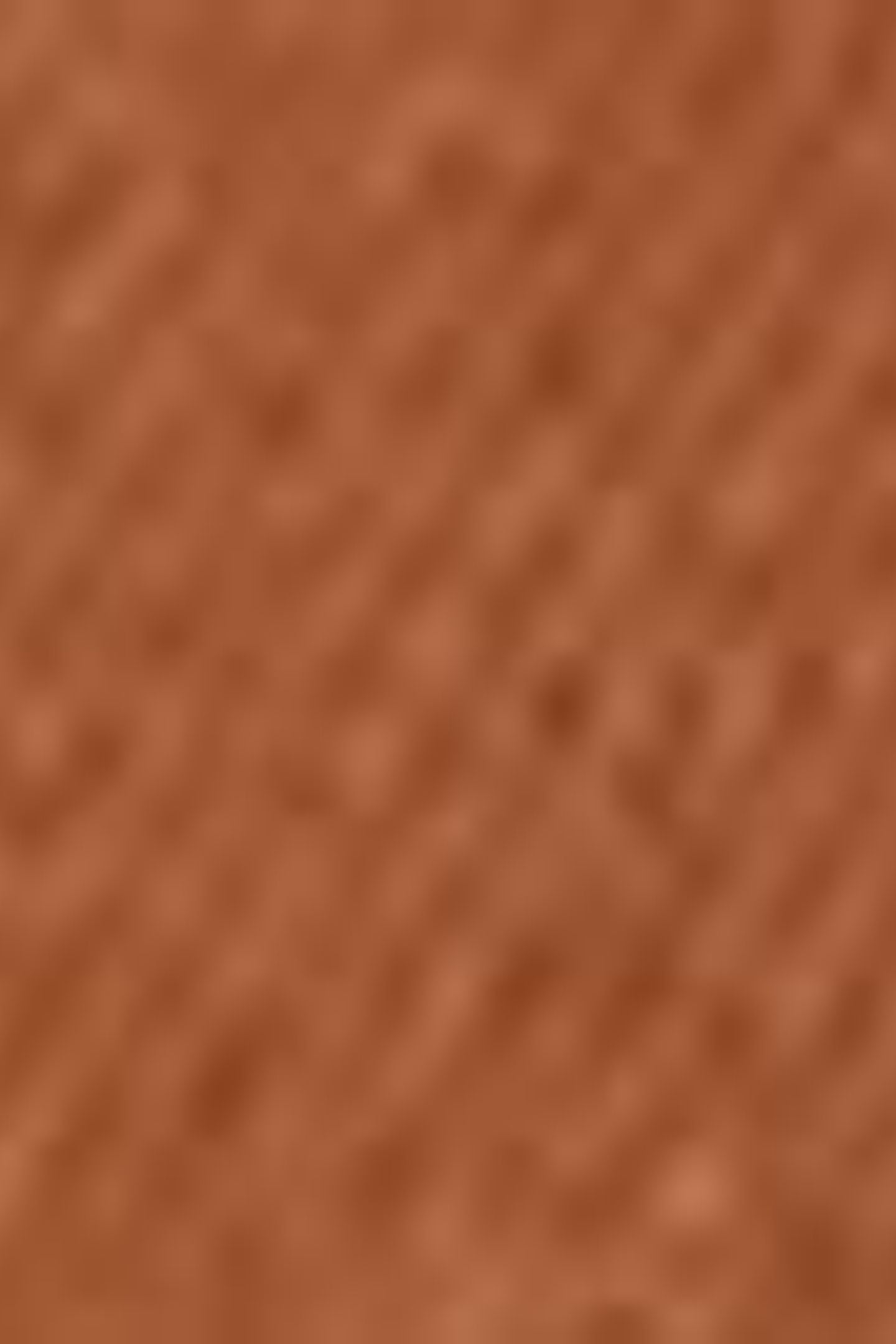 HIGH RISE BAGGY COTTON LINEN SHORTS BROWN 8