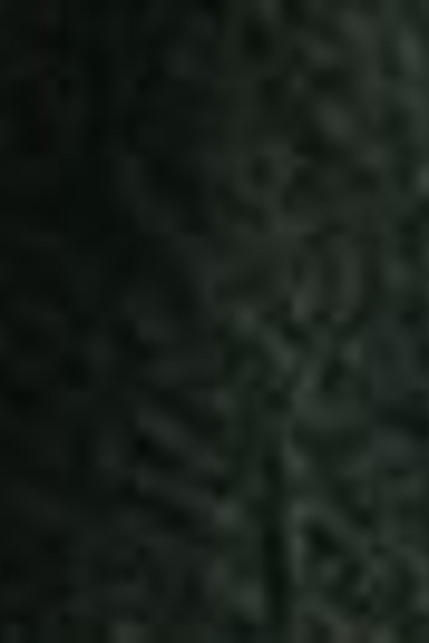 ESSENTIAL WESTERN SHIRT BLUE 6