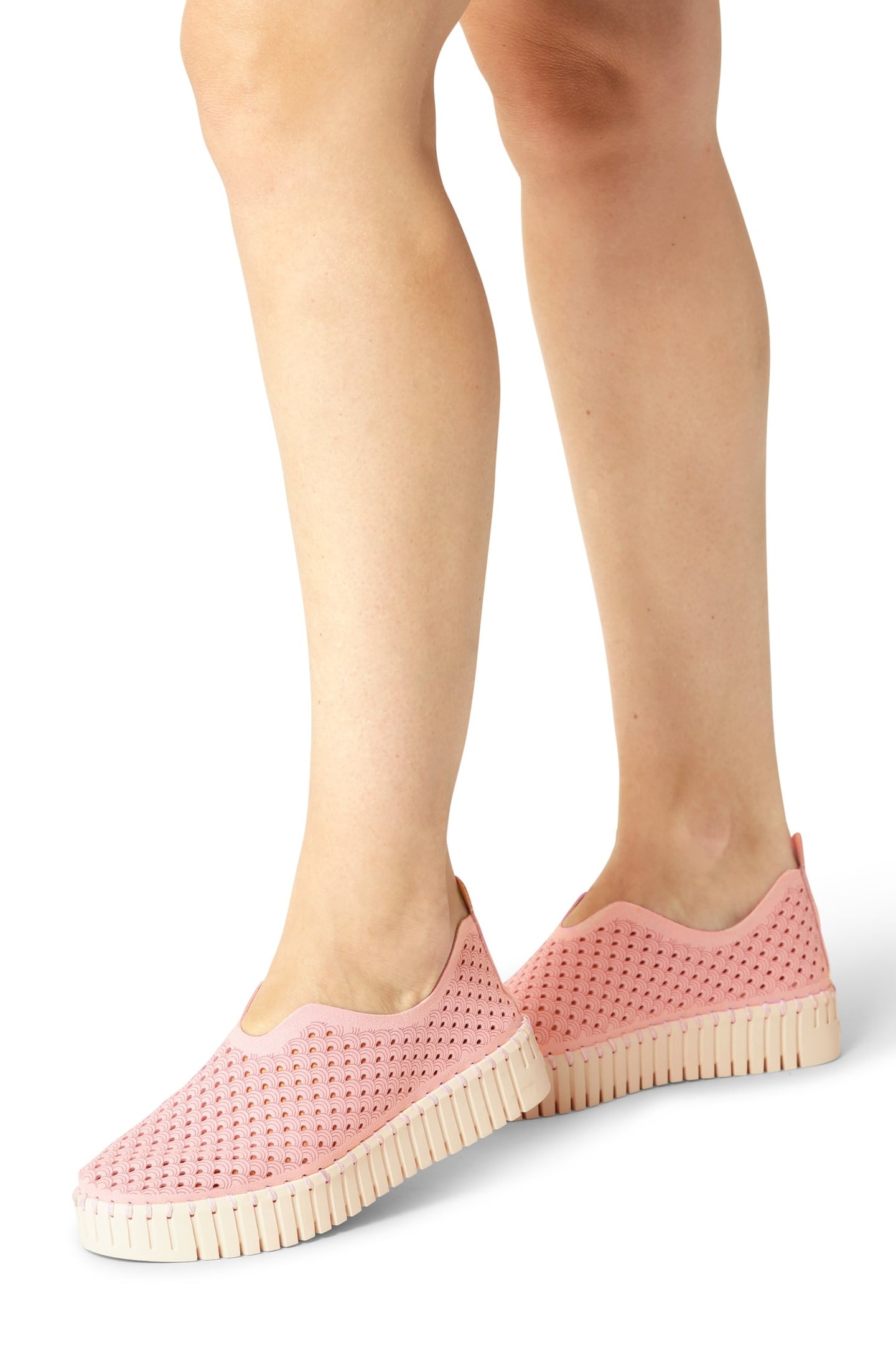 FLATS TULIP3373 ADOBE ROSE 1