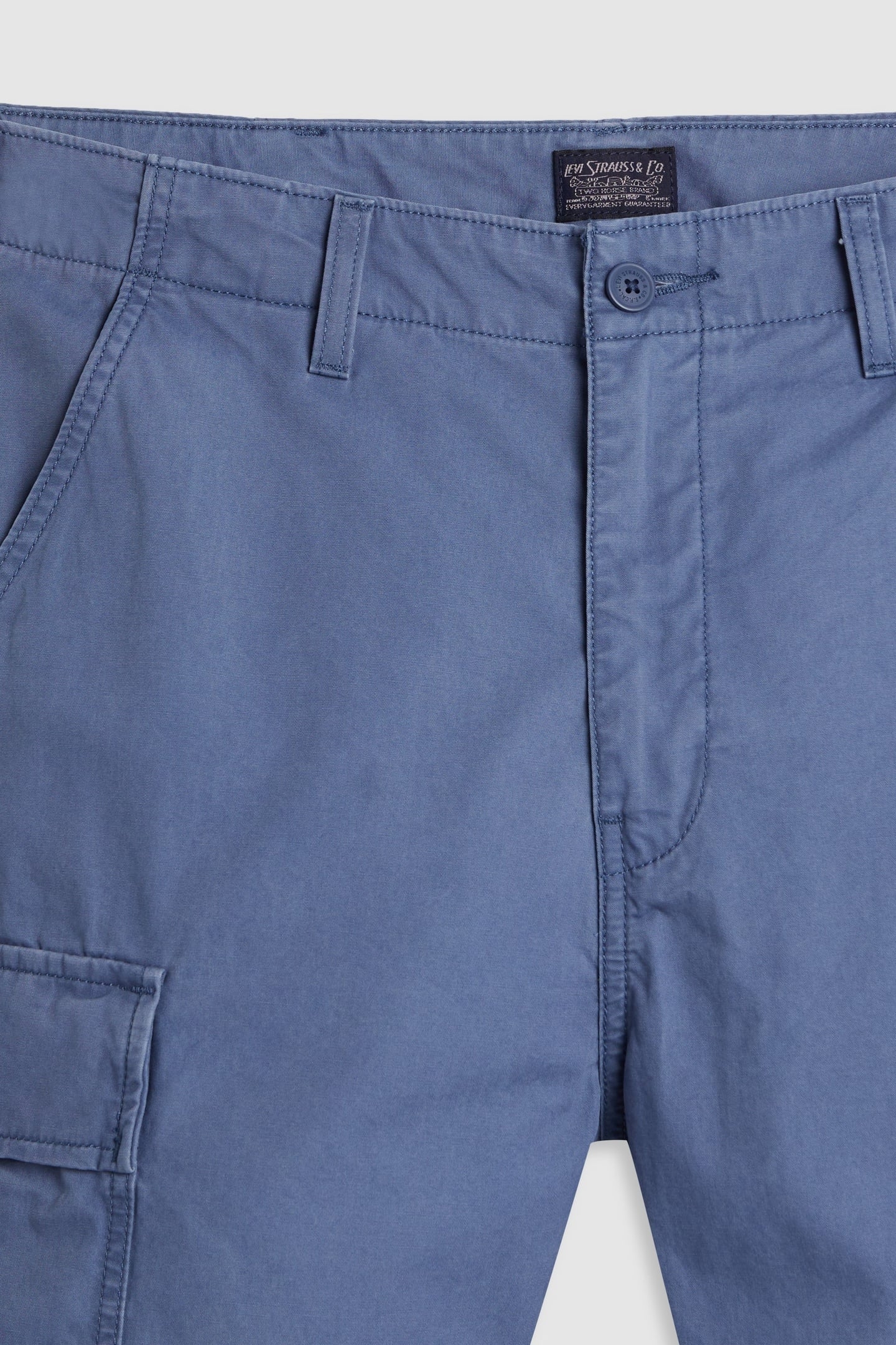 CARRIER CARGO SHORTS BLUE 8