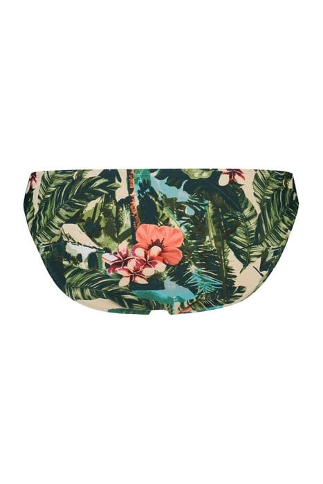LOW BRIEF BALI MULTI COLOUR 2