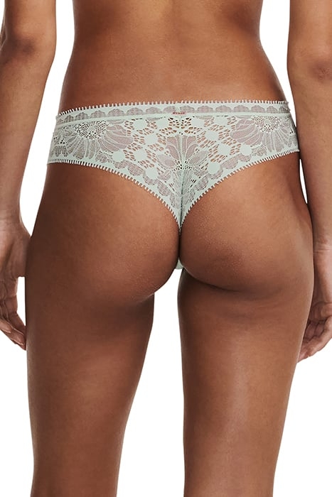 DAY TO NIGHT GREEN LILY 3